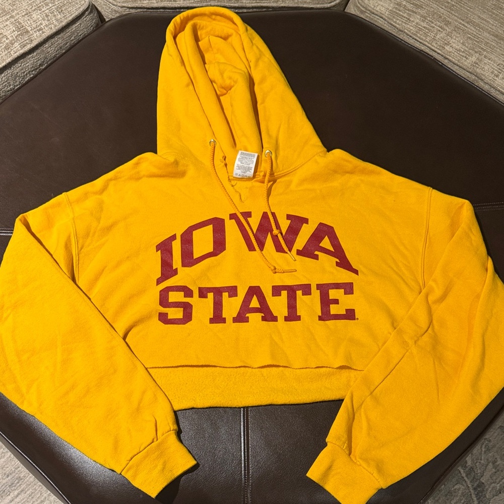 Iowa State crop top hoodie